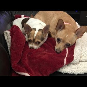 Meet your Posher, Brad